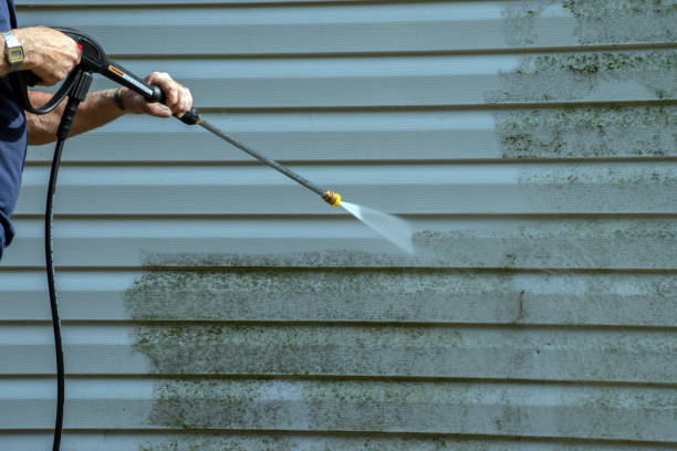 Best Patio and Deck Pressure Washing  in Forest, VA